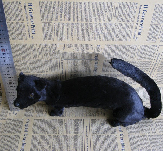 Premium Simulation Mink Specimen – Realistic Educational Teaching Model & Ornament