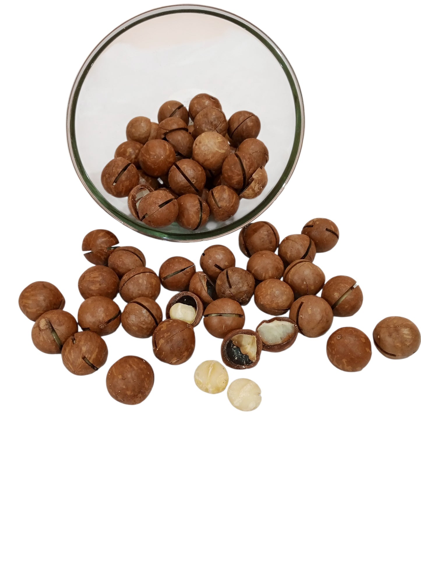 Premium Macadamia Nuts