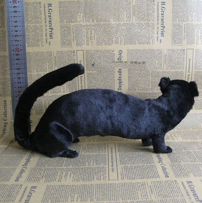 Premium Simulation Mink Specimen – Realistic Educational Teaching Model & Ornament