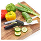 4 in 1 Stainless Steel Multi Functional Kitchen Vegetable Clever Cutter (Multicolor, Pack of 1)