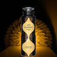 Aro Magnet Alcohol Free DeoDorant Spray 200ml and 555 Concentrated Attar(Pack of 3)