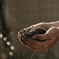 Organic Vermicompost 400gm