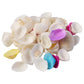 Decorative Seashells Set  (1 Set)