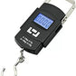 Take care Digital Kitchen Weighing Scales Weighing Capacity 50 Kg (S-48)