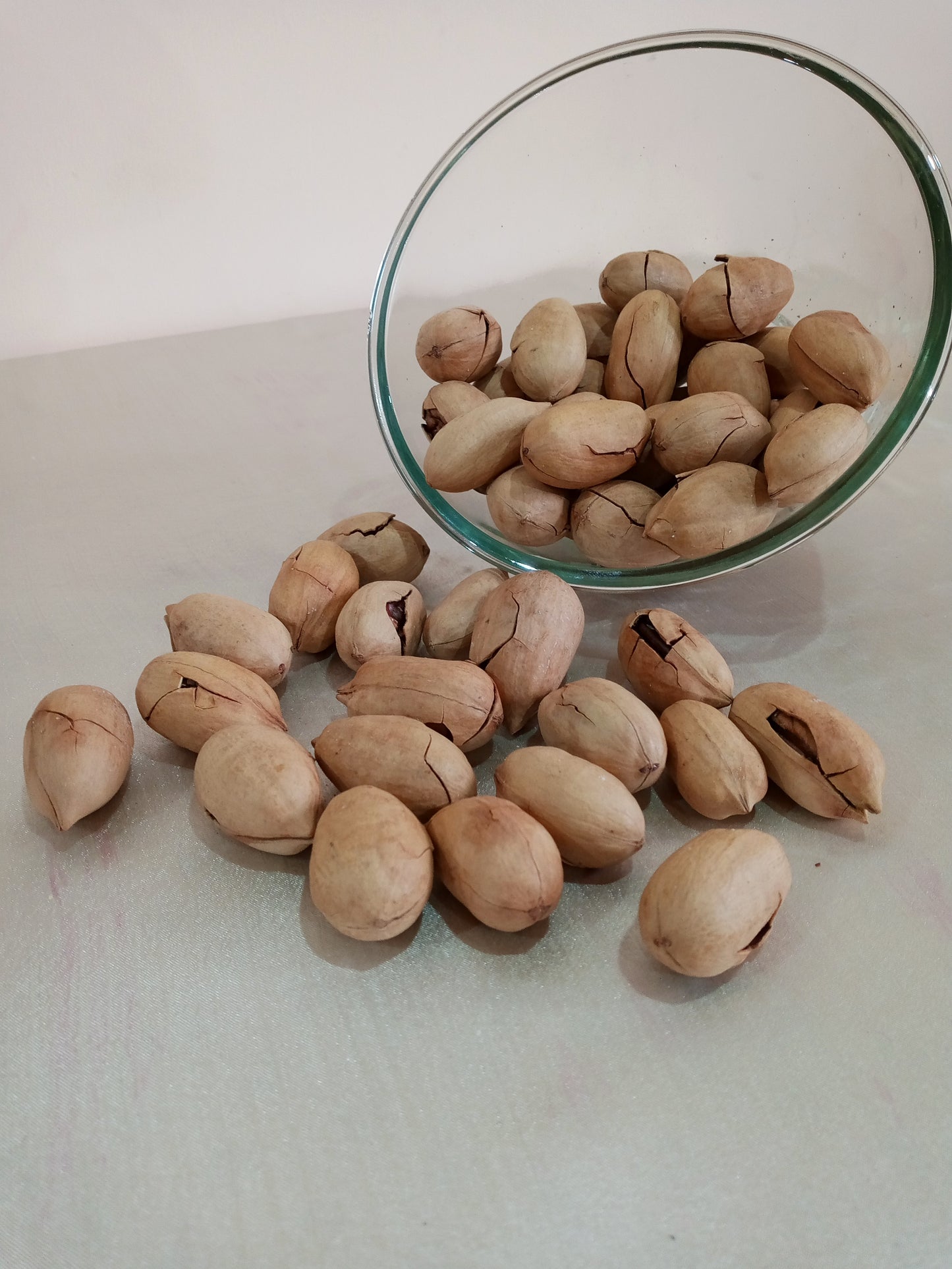 Premium Pecan Nuts