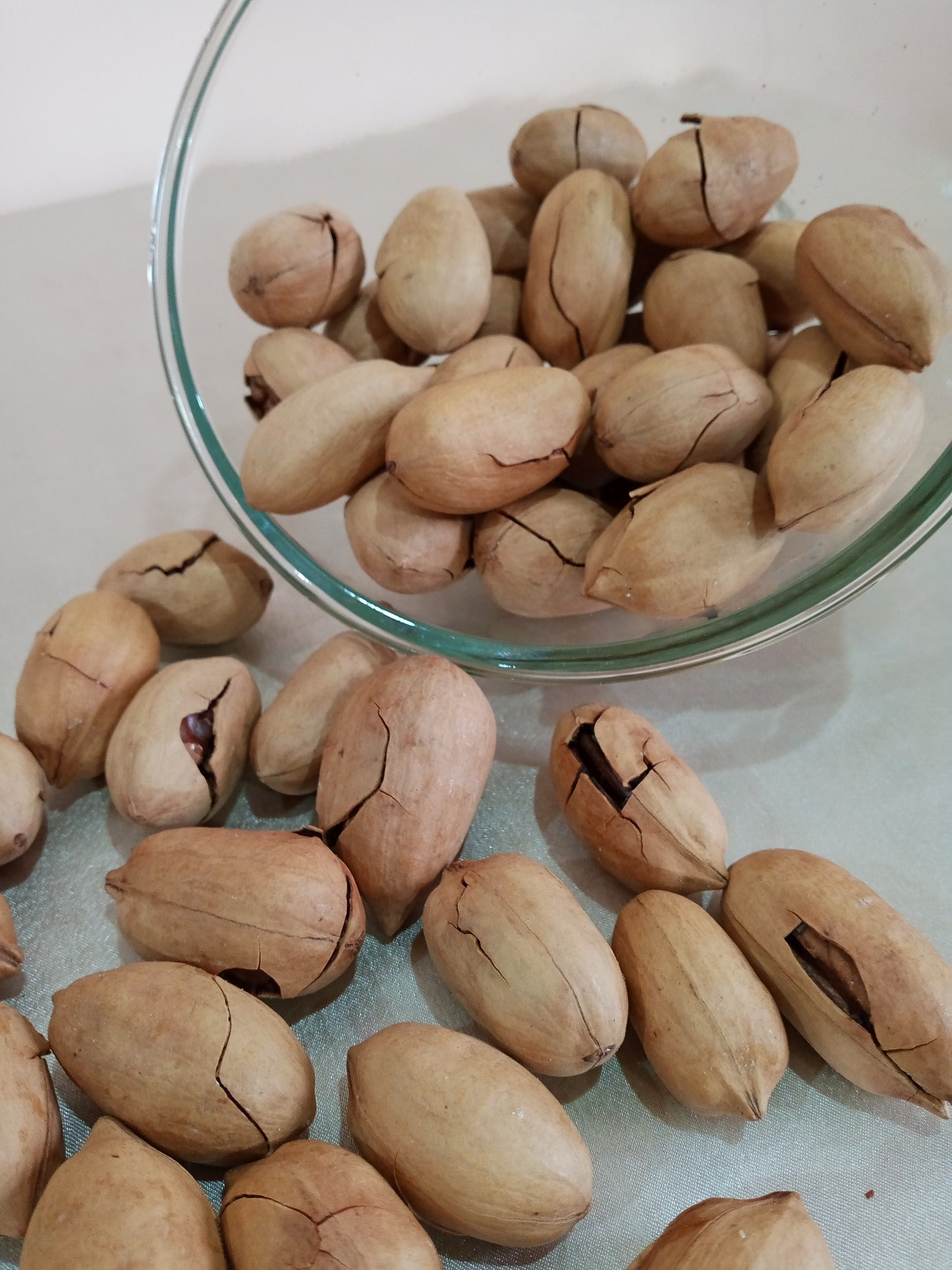 Premium Pecan Nuts