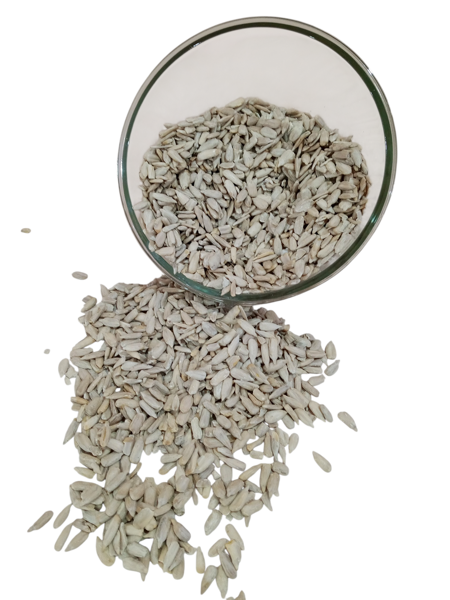 Premium Sunflower Seeds