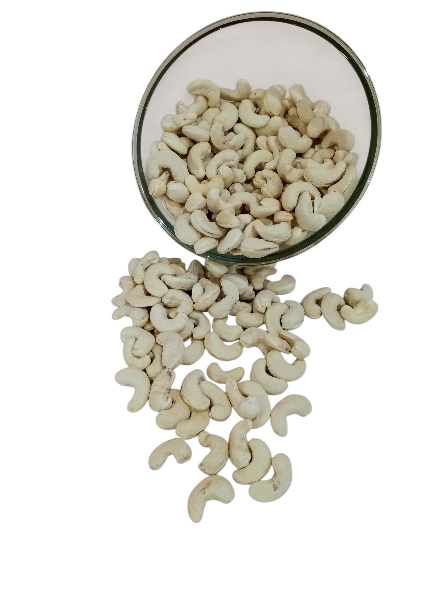 Premium Quality Cashew Nuts