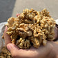 Premium Walnut Giri (Akhrot Kernels) | Fresh, Crunchy & Naturally Nutritious