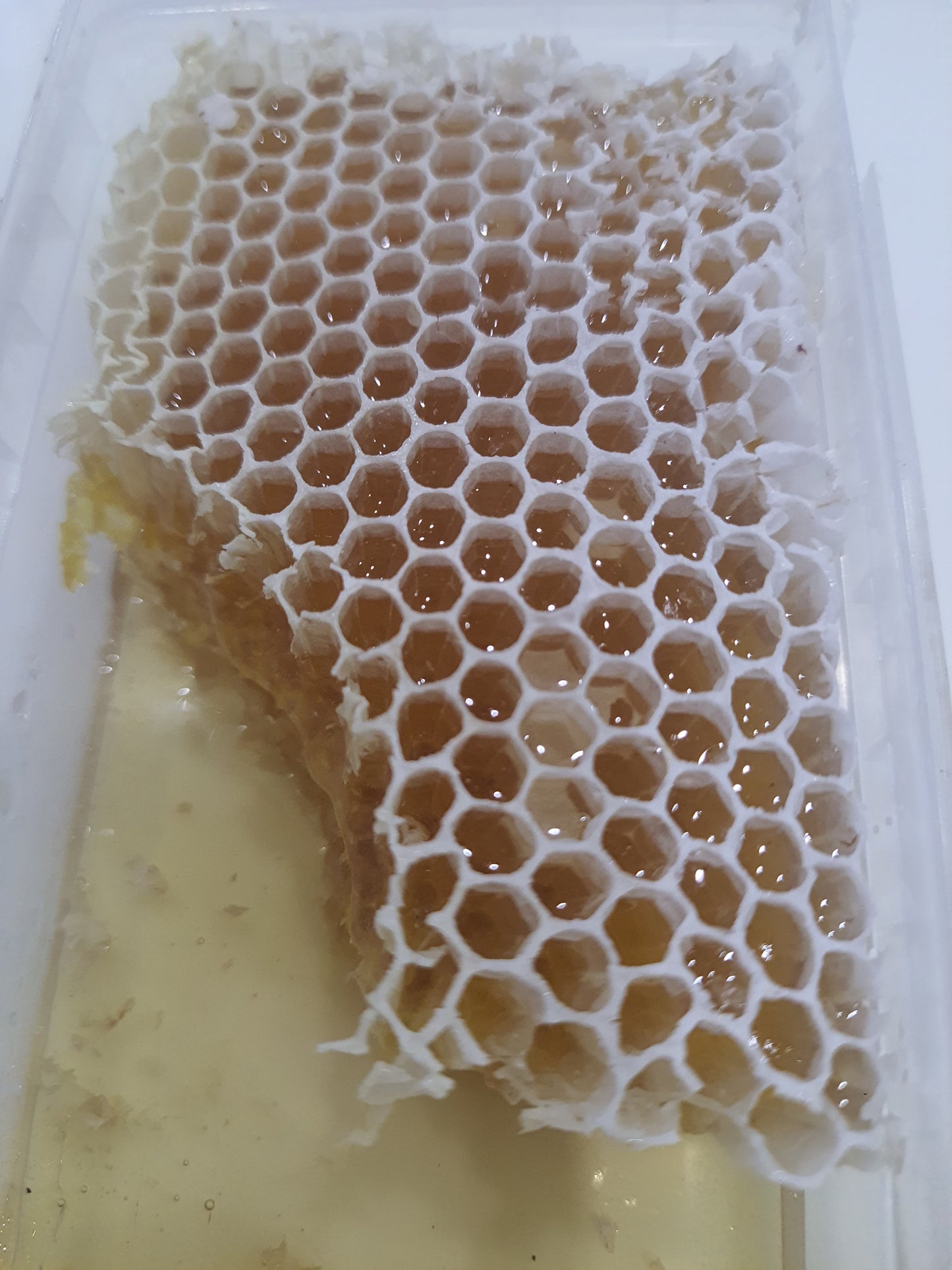 Honey comb honey