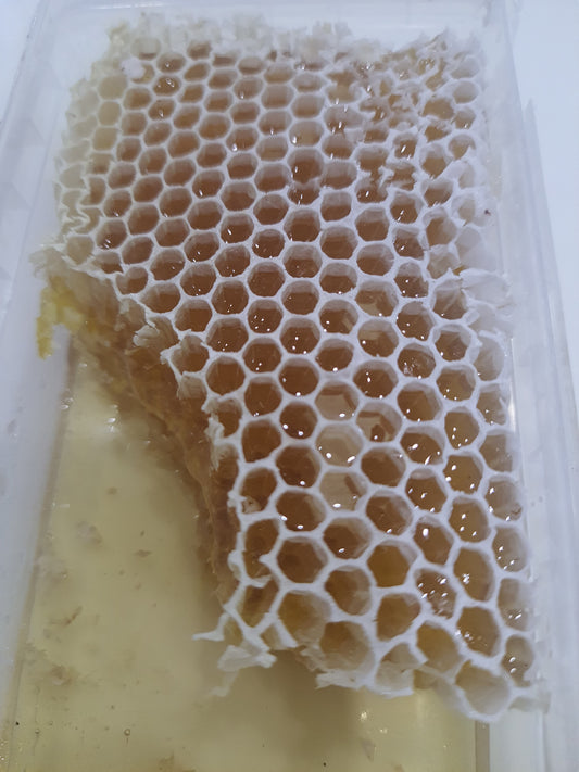 Honey comb honey