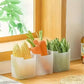 Fridge Storage boxes