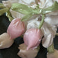Tulip Scrunchies