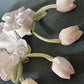 Tulip Scrunchies