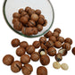 Premium Macadamia Nuts