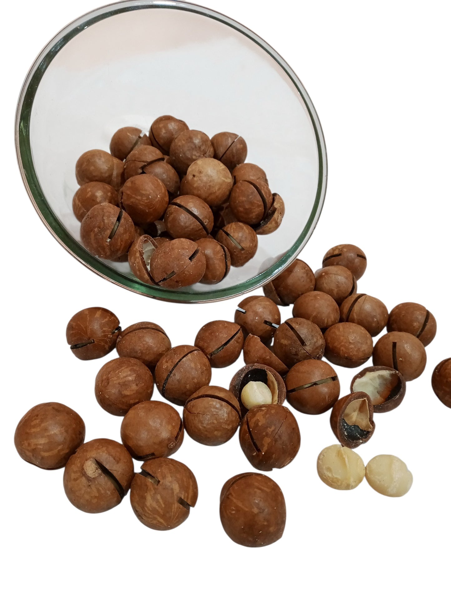Premium Macadamia Nuts