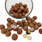 Premium Macadamia Nuts