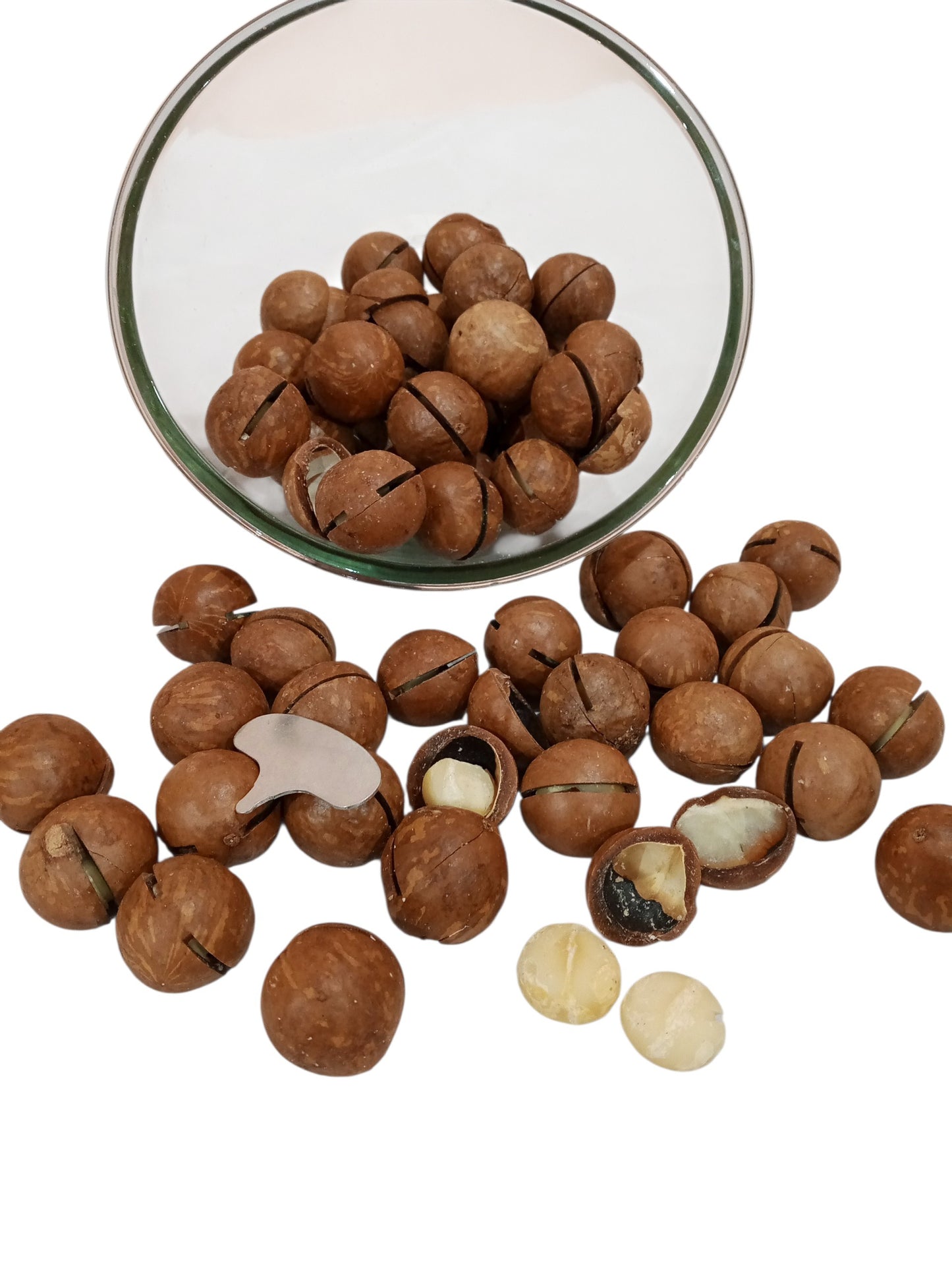 Premium Macadamia Nuts