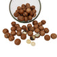 Premium Macadamia Nuts