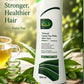 Natural Green tea shampoo