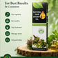 Natural hair growth oil