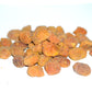 Premium Kashmiri Apricot (dried)