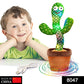 8047 Dancing Cactus Toy